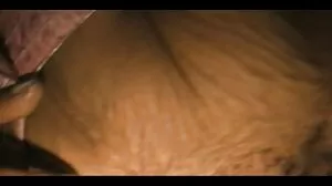 Gay Fuck Sex Prno