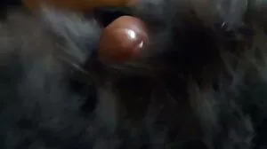 Δωρεάν Ansl Teen Pain Monster Cock